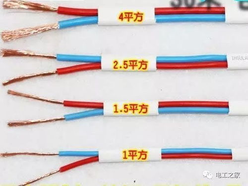 汽车主电缆多少平方
